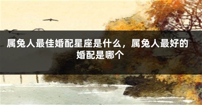 属兔人最佳婚配星座是什么，属兔人最好的婚配是哪个
