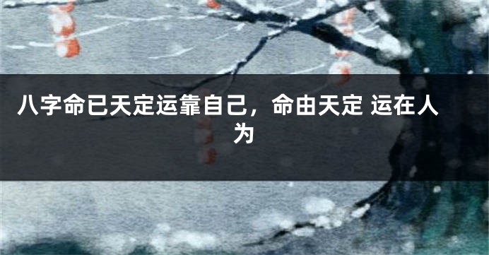 八字命已天定运靠自己，命由天定 运在人为