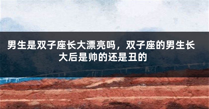 男生是双子座长大漂亮吗，双子座的男生长大后是帅的还是丑的