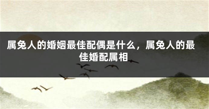 属兔人的婚姻最佳配偶是什么，属兔人的最佳婚配属相