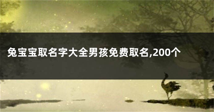 兔宝宝取名字大全男孩免费取名,200个