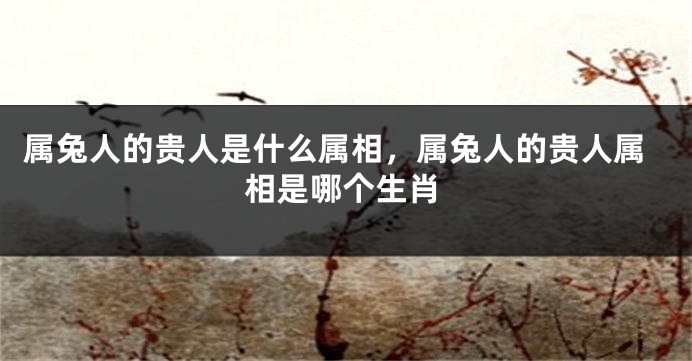 属兔人的贵人是什么属相,属兔人的贵人属相是哪个生肖