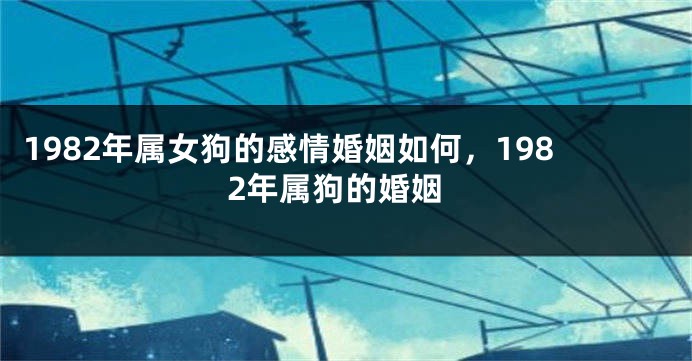 1982年属女狗的感情婚姻如何，1982年属狗的婚姻