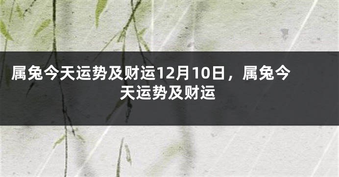 属兔今天运势及财运12月10日，属兔今天运势及财运