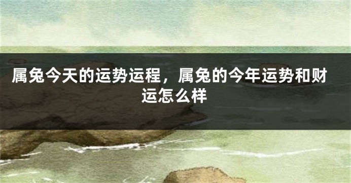 属兔今天的运势运程，属兔的今年运势和财运怎么样