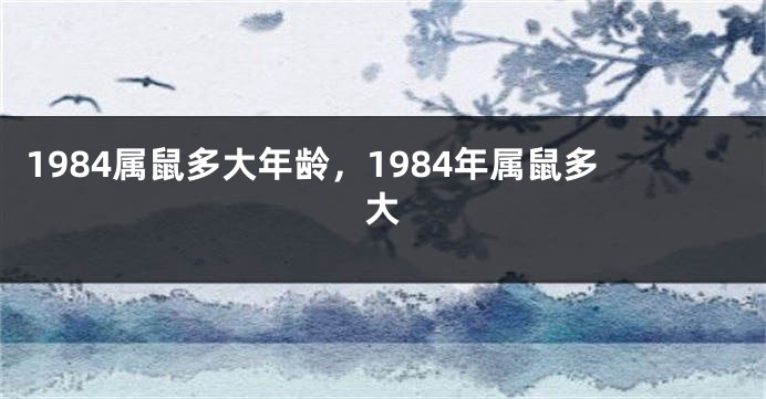 1984属鼠多大年龄，1984年属鼠多大