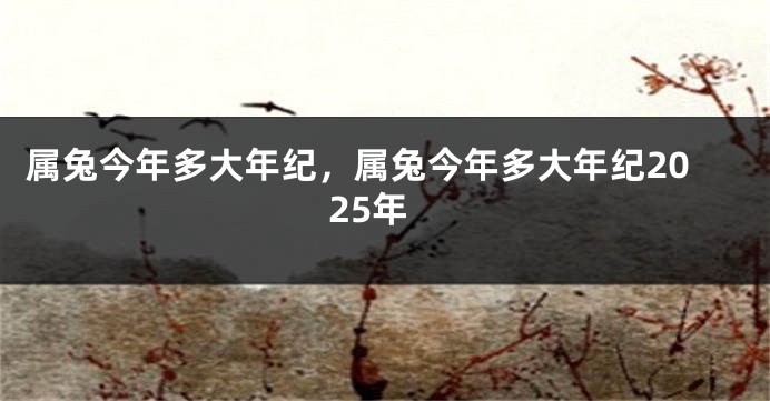 属兔今年多大年纪，属兔今年多大年纪2025年