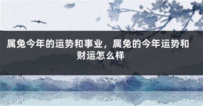 属兔今年的运势和事业，属兔的今年运势和财运怎么样