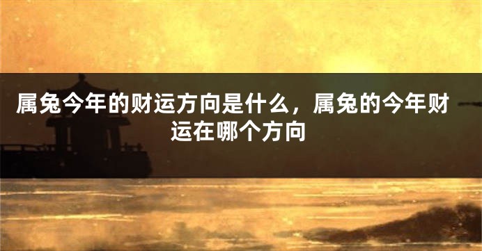 属兔今年的财运方向是什么，属兔的今年财运在哪个方向