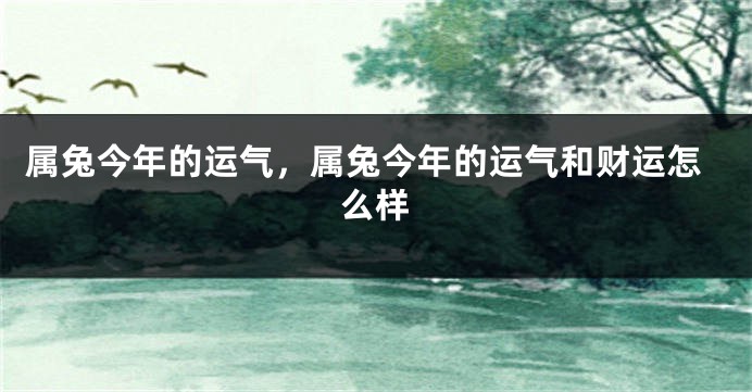 属兔今年的运气，属兔今年的运气和财运怎么样