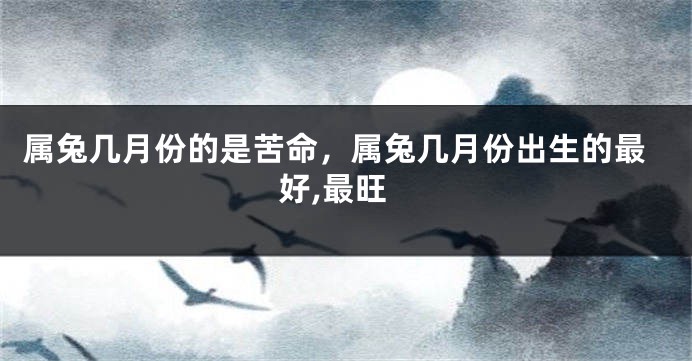 属兔几月份的是苦命,属兔几月份出生的最好,最旺