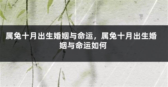 属兔十月出生婚姻与命运，属兔十月出生婚姻与命运如何