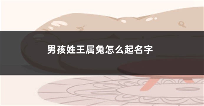 男孩姓王属兔怎么起名字
