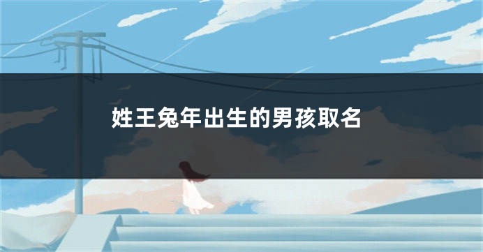 姓王兔年出生的男孩取名