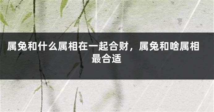 属兔和什么属相在一起合财，属兔和啥属相最合适