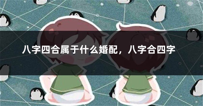 八字四合属于什么婚配，八字合四字