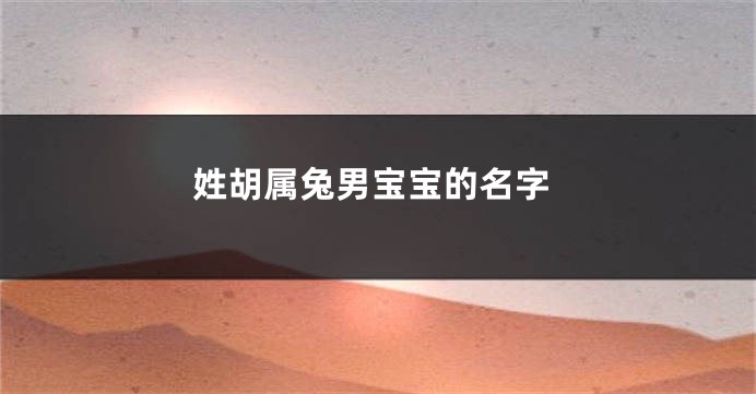 姓胡属兔男宝宝的名字