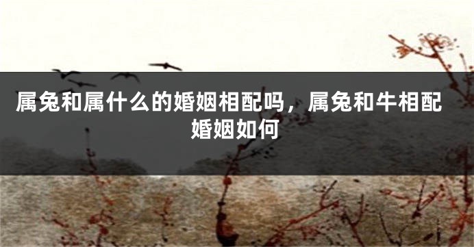 属兔和属什么的婚姻相配吗，属兔和牛相配婚姻如何