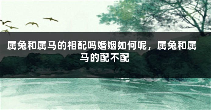 属兔和属马的相配吗婚姻如何呢，属兔和属马的配不配