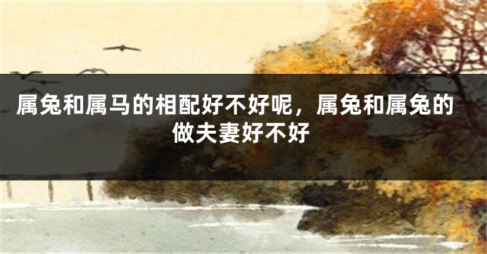 属兔和属马的相配好不好呢，属兔和属兔的做夫妻好不好