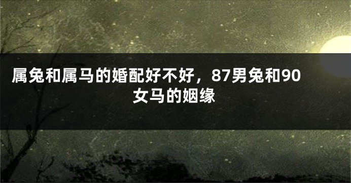 属兔和属马的婚配好不好，87男兔和90女马的姻缘