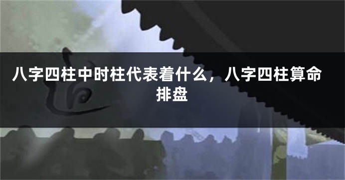 八字四柱中时柱代表着什么，八字四柱算命排盘