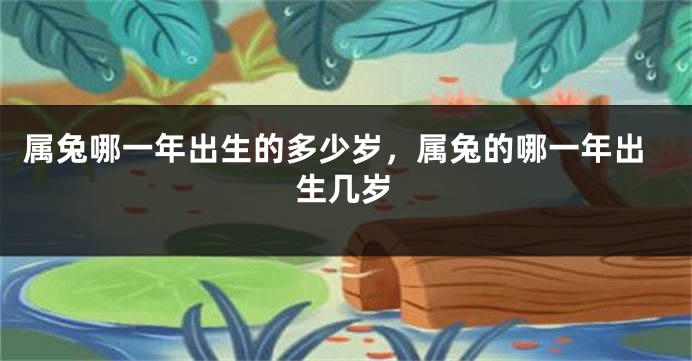 属兔哪一年出生的多少岁，属兔的哪一年出生几岁