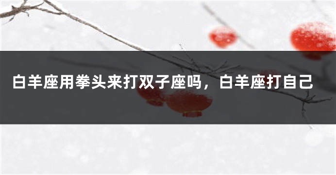 白羊座用拳头来打双子座吗，白羊座打自己