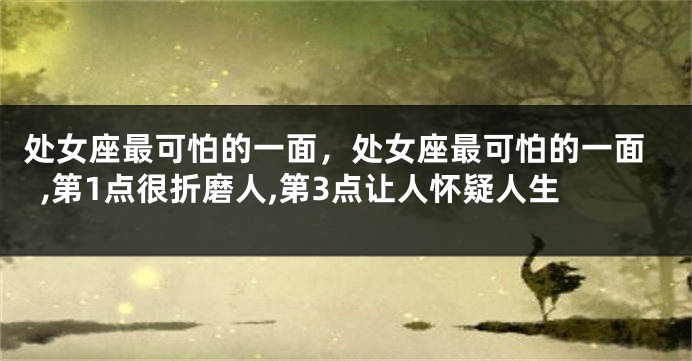 处女座最可怕的一面，处女座最可怕的一面,第1点很折磨人,第3点让人怀疑人生