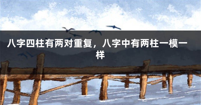 八字四柱有两对重复，八字中有两柱一模一样