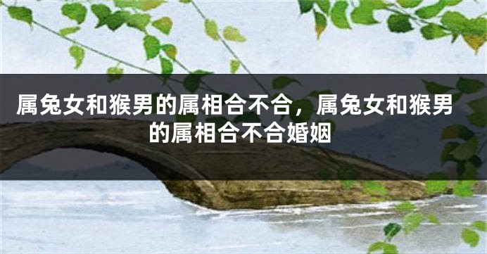 属兔女和猴男的属相合不合，属兔女和猴男的属相合不合婚姻