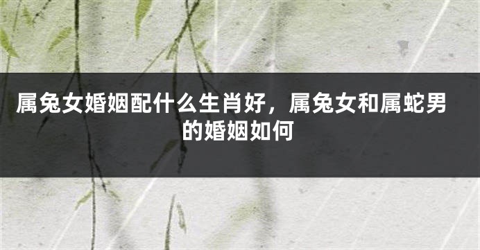 属兔女婚姻配什么生肖好，属兔女和属蛇男的婚姻如何