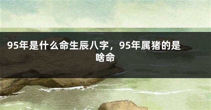 95年是什么命生辰八字，95年属猪的是啥命