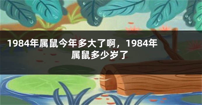 1984年属鼠今年多大了啊，1984年属鼠多少岁了
