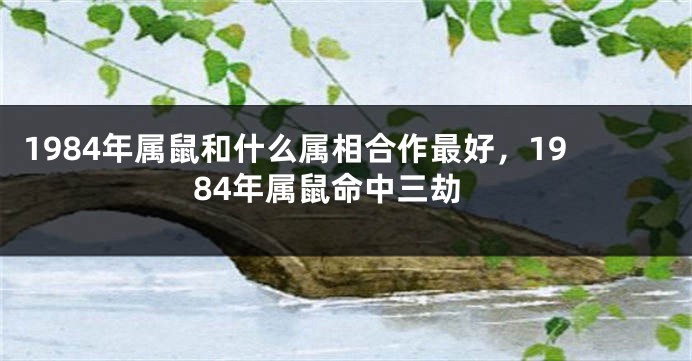 1984年属鼠和什么属相合作最好，1984年属鼠命中三劫