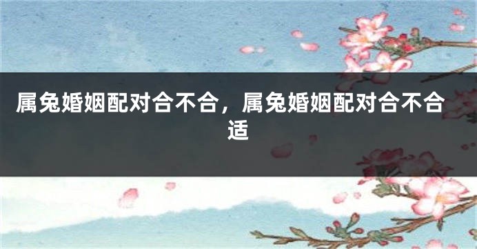 属兔婚姻配对合不合，属兔婚姻配对合不合适
