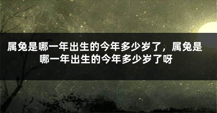 属兔是哪一年出生的今年多少岁了，属兔是哪一年出生的今年多少岁了呀