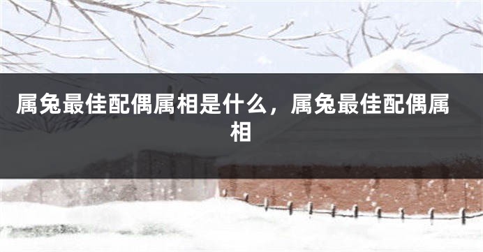属兔最佳配偶属相是什么，属兔最佳配偶属相
