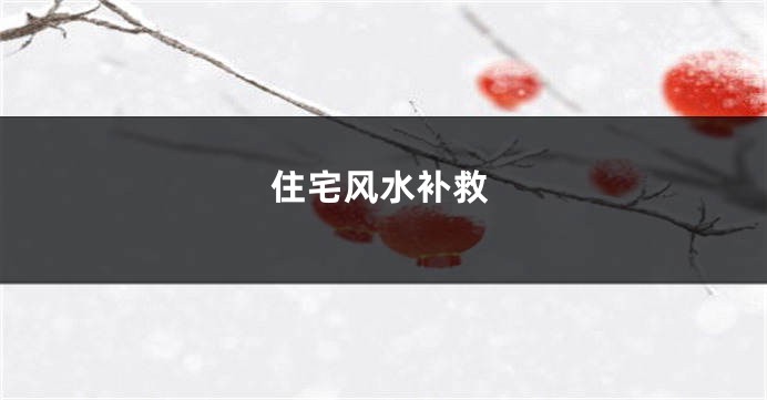 住宅风水补救
