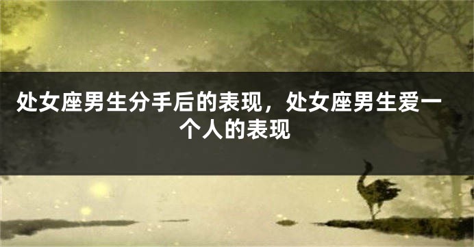处女座男生分手后的表现，处女座男生爱一个人的表现