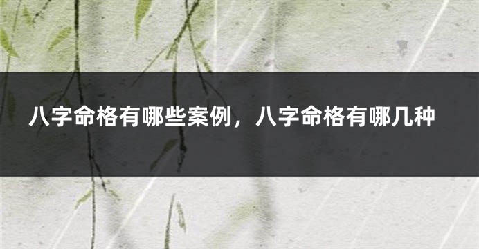 八字命格有哪些案例，八字命格有哪几种