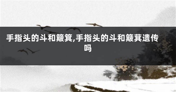 手指头的斗和簸箕,手指头的斗和簸萁遗传吗