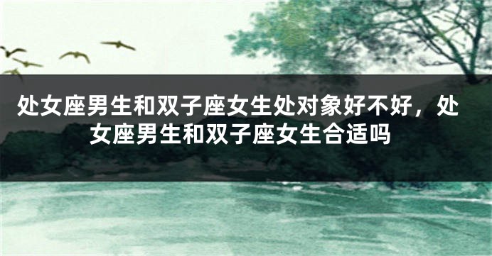 处女座男生和双子座女生处对象好不好，处女座男生和双子座女生合适吗