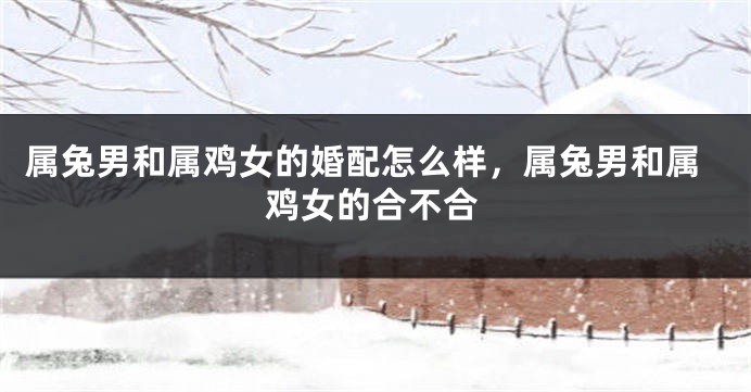 属兔男和属鸡女的婚配怎么样,属兔男和属鸡女的合不合