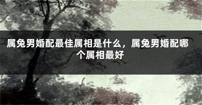 属兔男婚配最佳属相是什么,属兔男婚配哪个属相最好