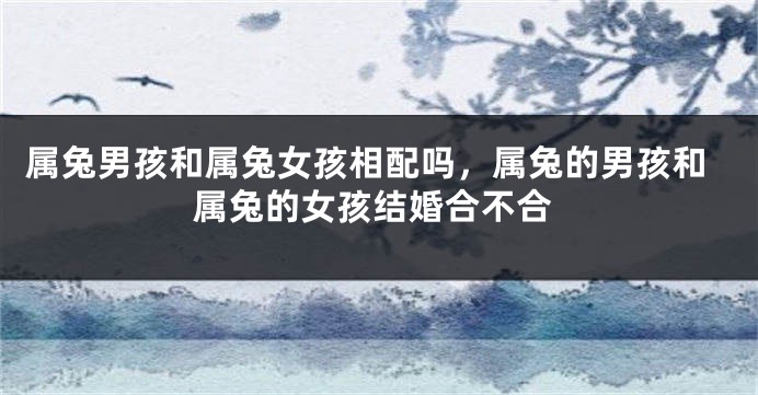 属兔男孩和属兔女孩相配吗，属兔的男孩和属兔的女孩结婚合不合