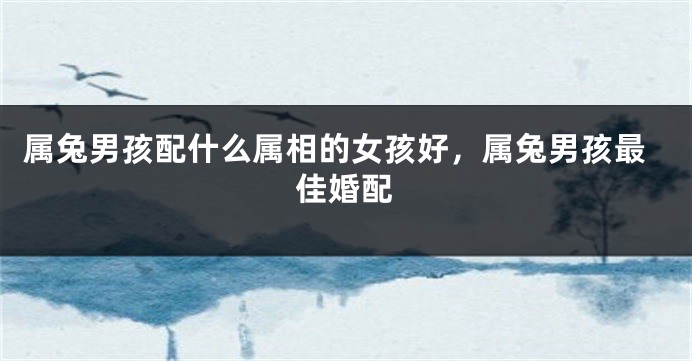 属兔男孩配什么属相的女孩好，属兔男孩最佳婚配
