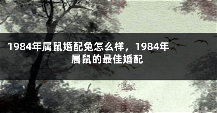 1984年属鼠婚配兔怎么样，1984年属鼠的最佳婚配