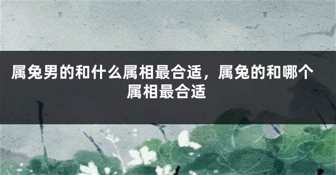 属兔男的和什么属相最合适，属兔的和哪个属相最合适