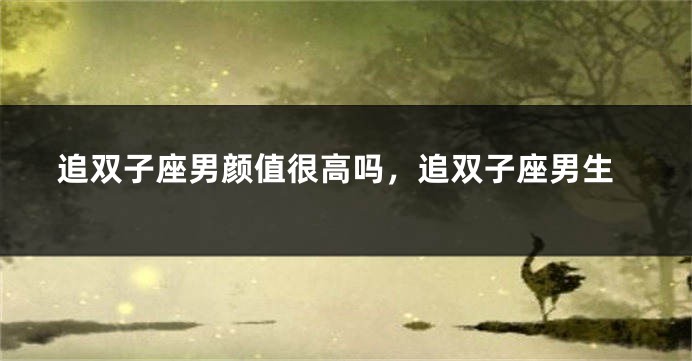 追双子座男颜值很高吗，追双子座男生